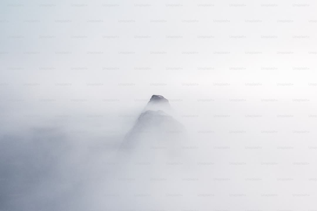 盖尔·加朵回应《白雪公主》票房惨败